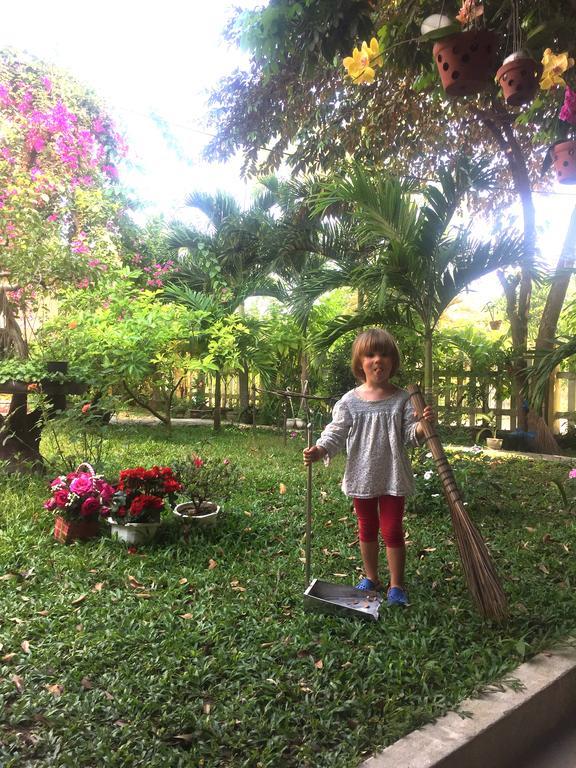 הוי אן Galaxy Homestay מראה חיצוני תמונה